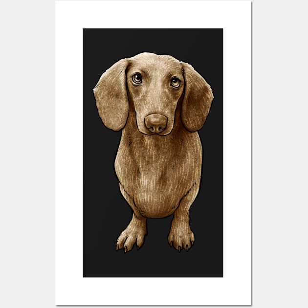 Dachshund Dog Doxie Wall Art by whyitsme